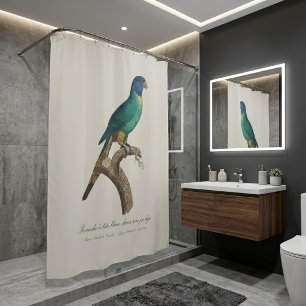 Rideaux De Douche Jeune loriquet arc-en-ciel Trichoglossus moluccanu