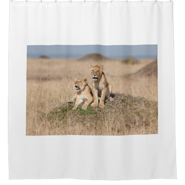 Rideaux De Douche Jeunes lions (Devant)