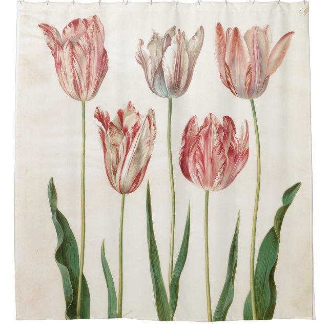 Rideaux De Douche Johannes Simon Holtzbecher Tulips (Devant)