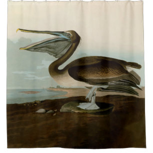 Rideaux De Douche John James Audubon Peinture Pélicane Brown