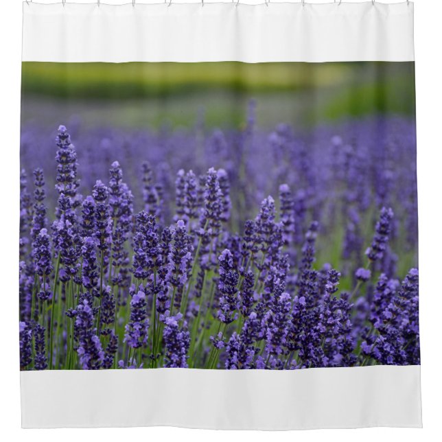 Rideaux De Douche Jolies fleurs de lavendar violet (Devant)