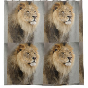 Rideaux De Douche Jungle d'amants de lion