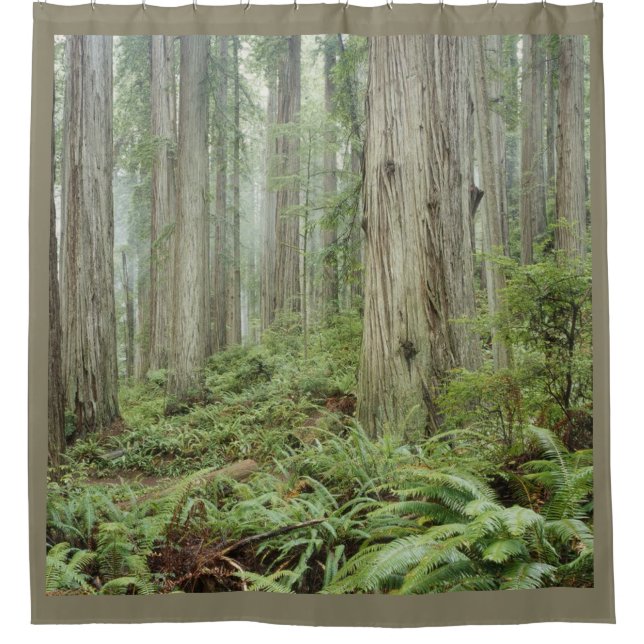 RIDEAUX DE DOUCHE LA FORÊT (Devant)