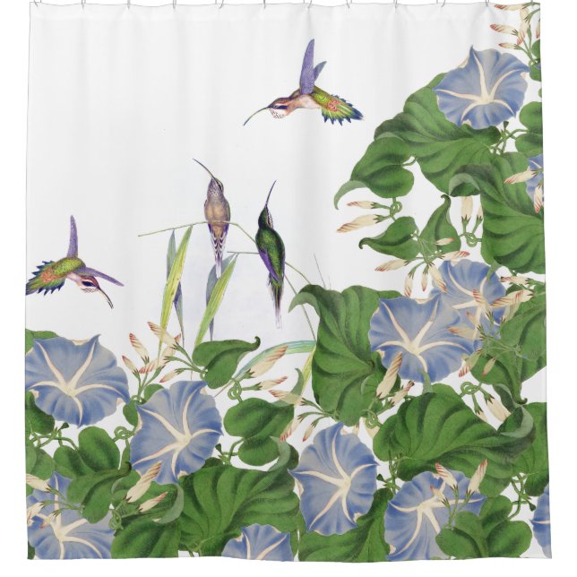 Rideaux De Douche La gloire de matin botanique fleurit le jardin (Devant)