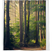 La nature, les arbres dans le Parc National