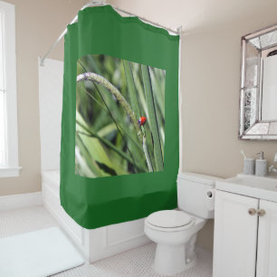 Rideaux De Douche Ladybug (Coccinellidae)