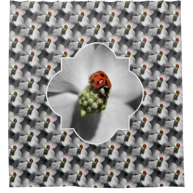 Rideaux De Douche Ladybug On Dogwood Flower Nature Pattern  (Devant)