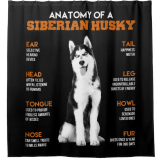 Rideaux De Douche L'anatomie d'un Husky Sibérien L'art drôle