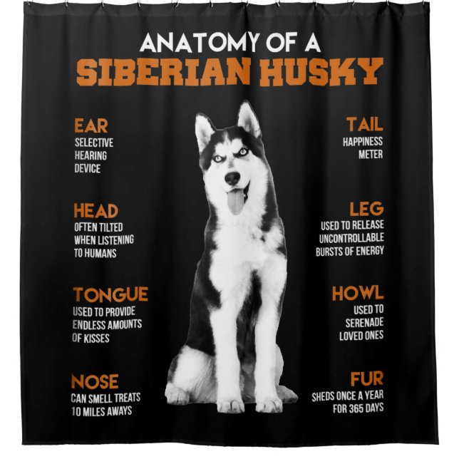 Rideaux De Douche L'anatomie d'un Husky Sibérien L'art drôle (Devant)