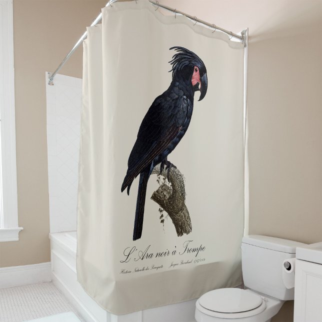 Rideaux De Douche L'Ara Noir a Trompe / Palm Cockatoo (L' Ara Noir a Trompe / Palm Cockatoo. Shower Curtain)