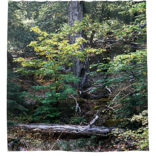 Rideaux De Douche L'automne est là...... (Devant)