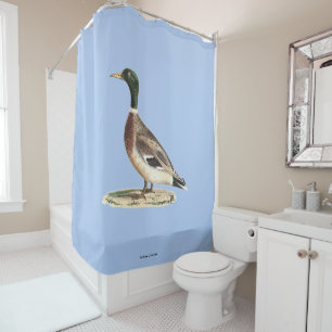 Rideaux De Douche Le canard colvert ou sauvage (Anas platyrhynchos)