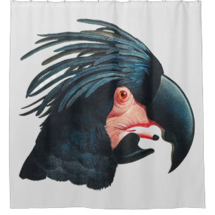 Rideaux De Douche Le Grand Cockatoo Noir de François Levaillant.