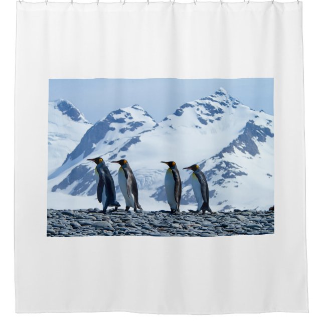 Rideaux De Douche Le roi Penguins de Géorgie du Sud (Devant)