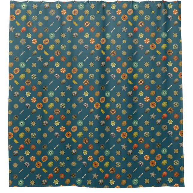 Rideaux De Douche Les bijoux sous-marins d'Ernst Haeckel (Devant)