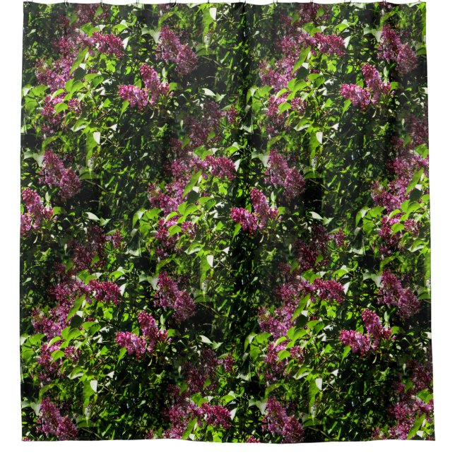 Rideaux De Douche Lilacs..... (Devant)
