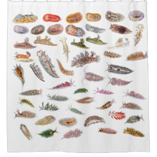 Rideaux De Douche Lingots de mer de Grande-Bretagne