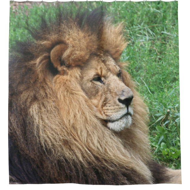 Rideaux De Douche Lion 001 (Devant)