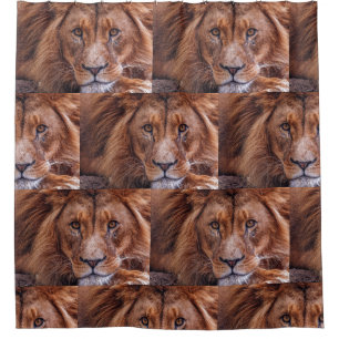 Rideaux De Douche Lion africain