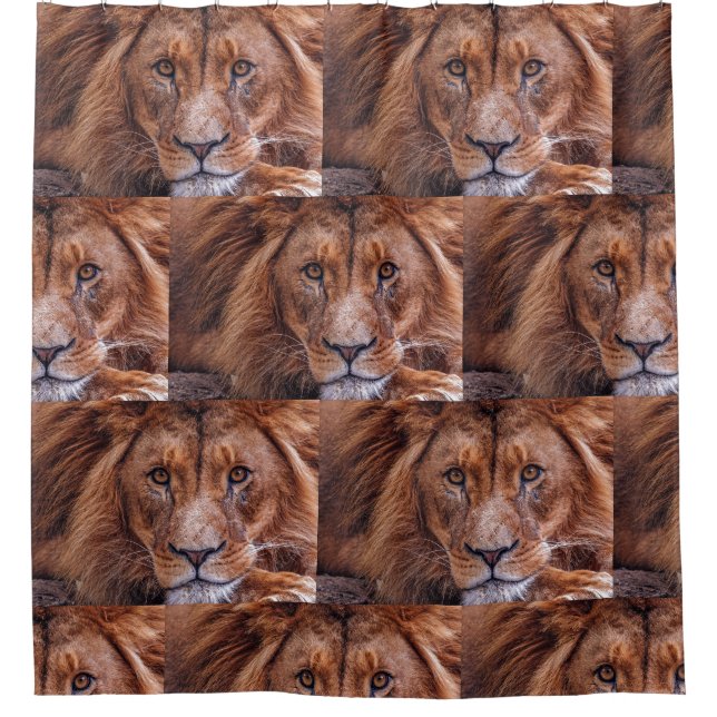 Rideaux De Douche Lion africain (Devant)