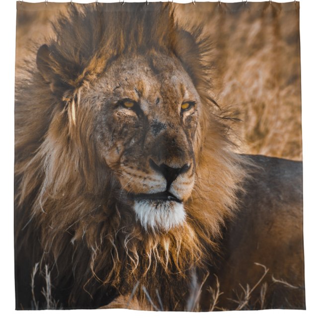 RIDEAUX DE DOUCHE LION DANS LE PARC NATIONAL D'ETOSHA (Devant)