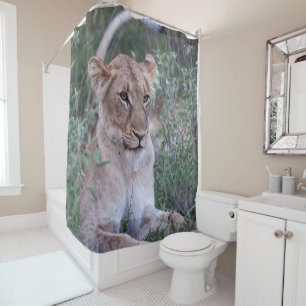 Rideaux De Douche Lionne au repos, photographie de safari africain e