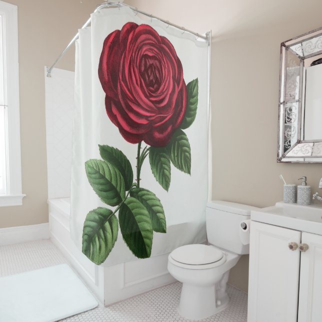 Rideaux De Douche Lithographie de rose antique, François-Frédéric Gr (En situation)