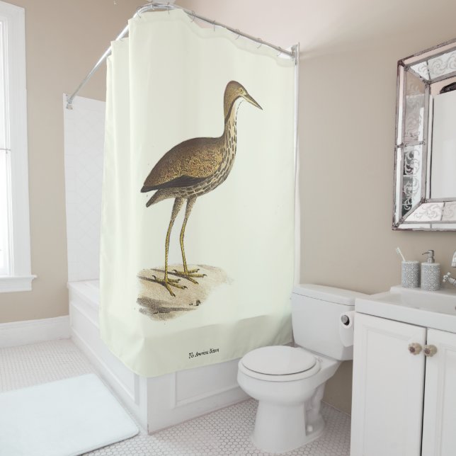 Rideaux De Douche L'oiseau de Bittern américain (Botaurus lentiginos (En situation)