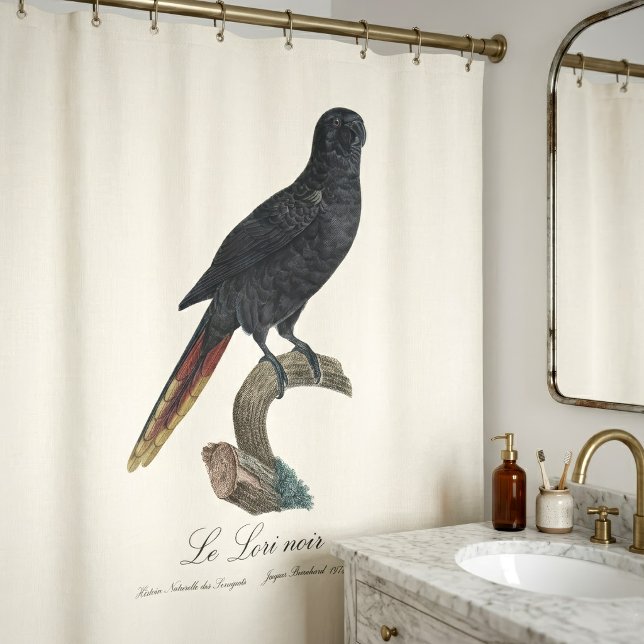 Rideaux De Douche Lori noir ou Lori à bec rouge, Chalcopsitta atra (Black Lory or Red-Quilled Lory, Chalcopsitta atra. Shower Curtain)
