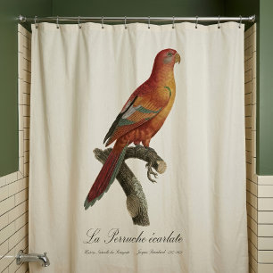 Rideaux De Douche Lori rouge ou Eos Bornea, Trichoglossus borneus