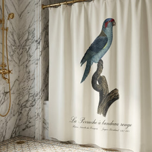Rideaux De Douche Loriquet à tête bleue, Trichoglossus concinnus