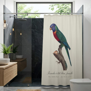 Rideaux De Douche Loriquet arc-en-ciel femelle, Trichoglossus molucc