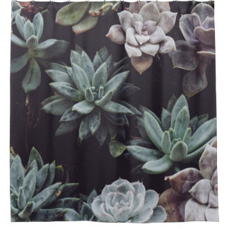 RIDEAUX DE DOUCHE LOT DE PLANTE SUCCULENT DE COULEUR ASSORTIE