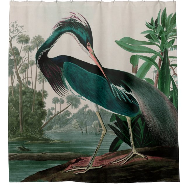 Rideaux De Douche Louisiana Heron Birds of America Audubon Imprimer (Devant)