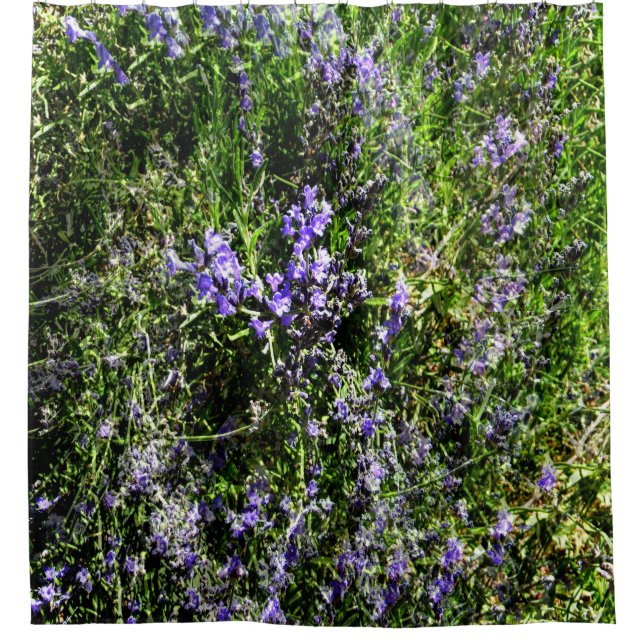 Rideaux De Douche Loving Lavender..... (Devant)