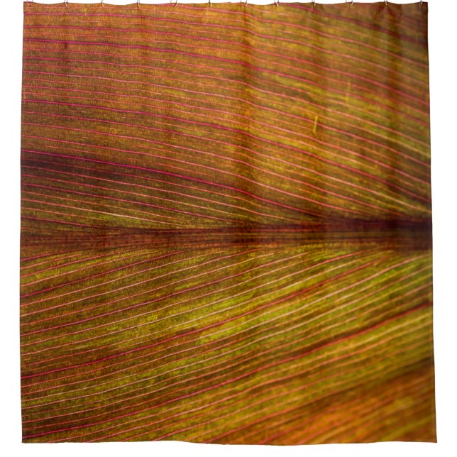 Rideaux De Douche Macro botanique feuille nature texture (Devant)