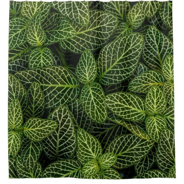 Rideaux De Douche Macro photo de plantes à feuilles vertes (Devant)