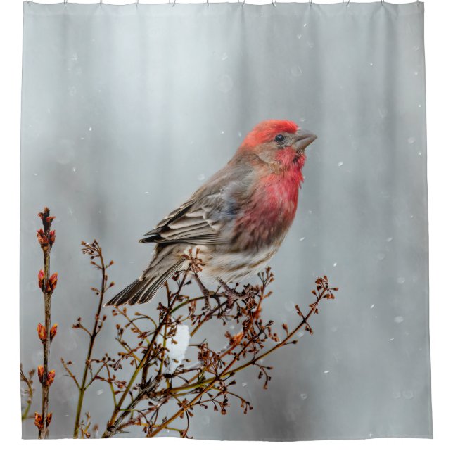 Rideaux De Douche Maison Finch en Neige - Photo originale (Devant)