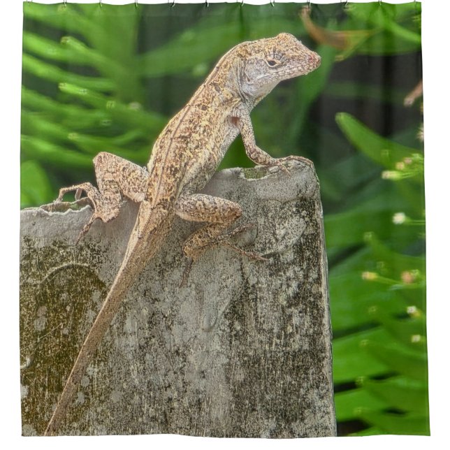 Rideaux De Douche Maître du camouflage (Devant)