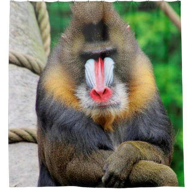 Rideaux De Douche Mandrill 001 (Devant)