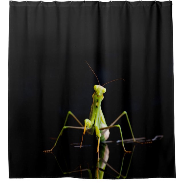 Rideaux De Douche Mante priante (Devant)