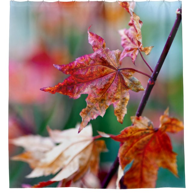 Rideaux De Douche Merveilleux feuilles japonais d'érable (Devant)