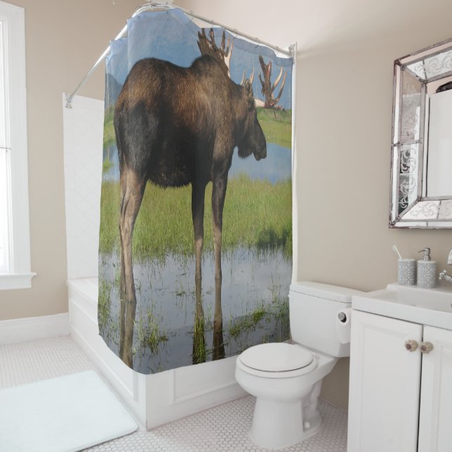 Rideaux De Douche Moose de l'Alaska avec rack Antlers Photo extérieu (En situation)