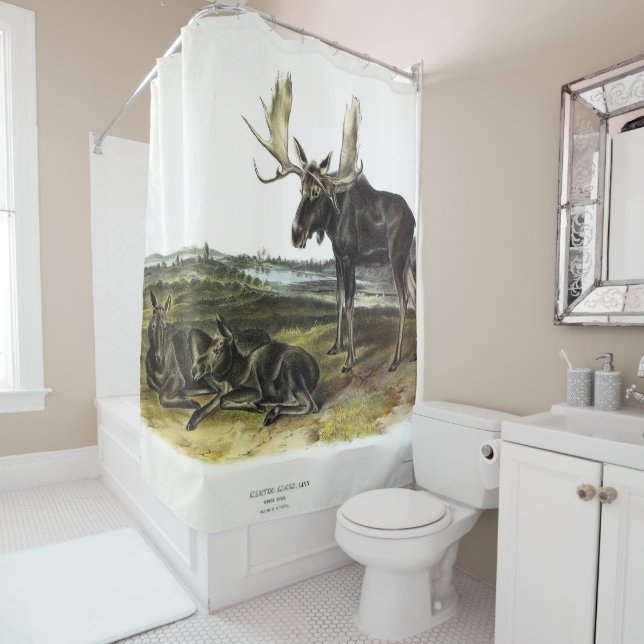 Rideaux De Douche Moose Deer (Moose - Alces alces) par Audubon (En situation)