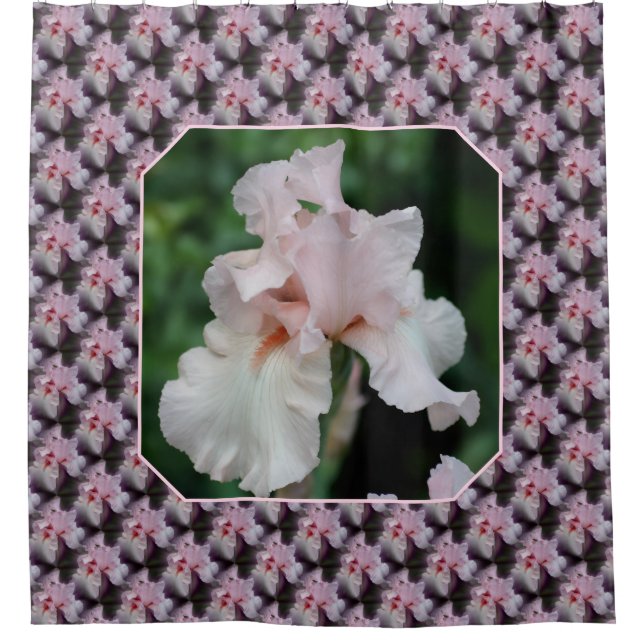 Rideaux De Douche Motif de fleur d'iris barbu rose (Devant)
