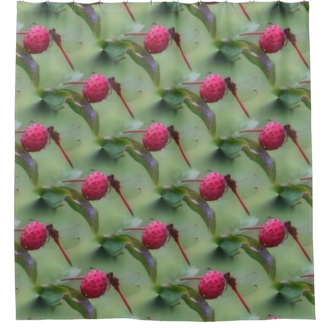 Rideaux De Douche Motif de libellule rouge (Devant)