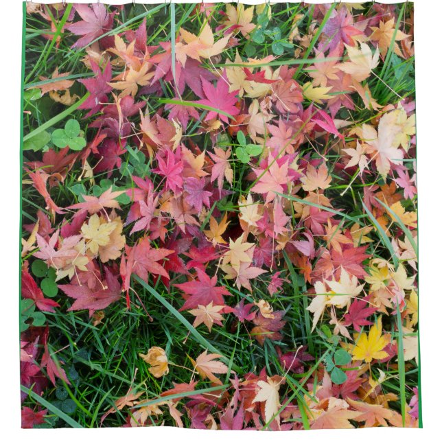 Rideaux De Douche Motif des feuilles en chute (Devant)