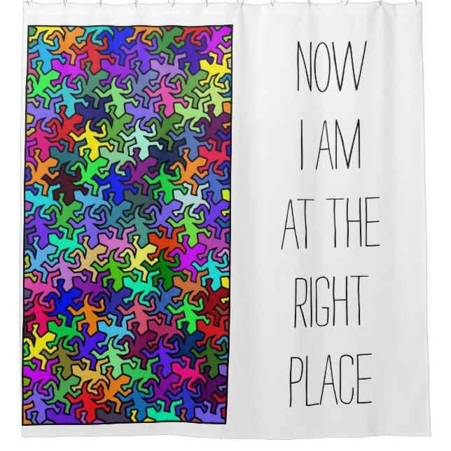 Rideaux De Douche Motif Mosaic Mirror Geckos - multicolore (Devant)