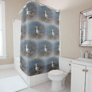 Rideaux De Douche Mouette En Bord De Mer