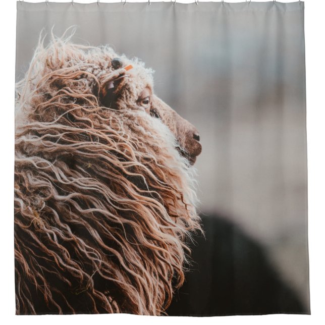 RIDEAUX DE DOUCHE MOUTON (Devant)